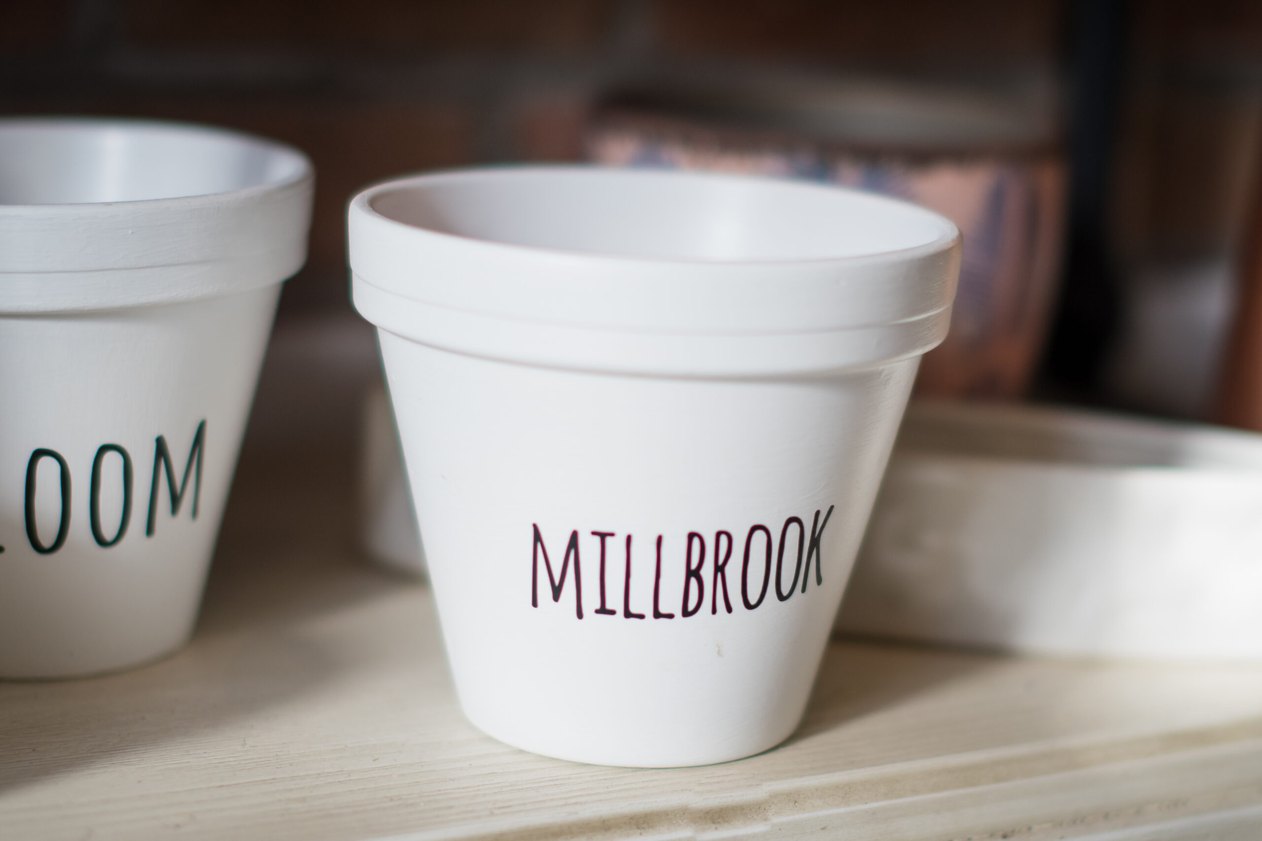 handmade disposable cup reading 'Millbrook'