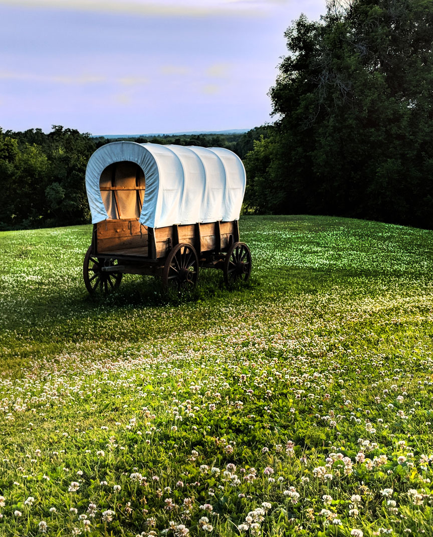 Conestoga wagon in a field