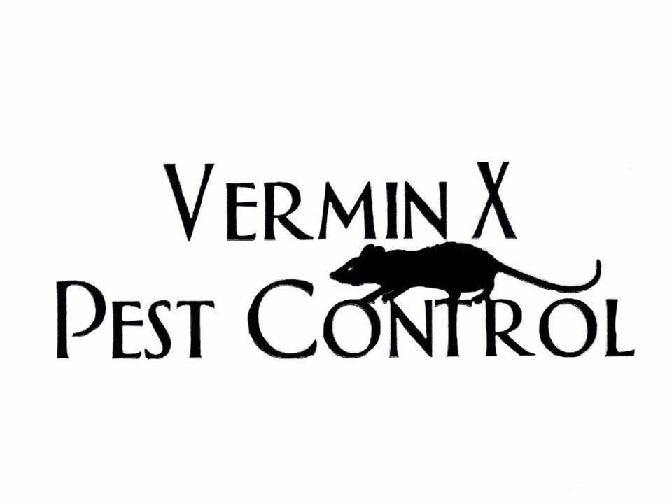 logo of a pest control company with black mice illustration