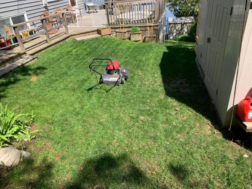 lawnmower in a lawn