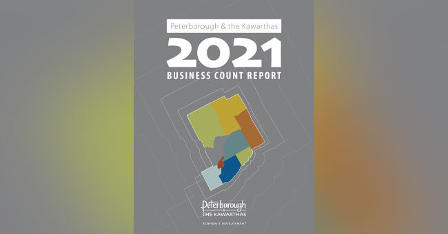 2021 Business Count Report cover