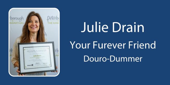 Graphic of Julie Drain holding Starter Company Plus certificate