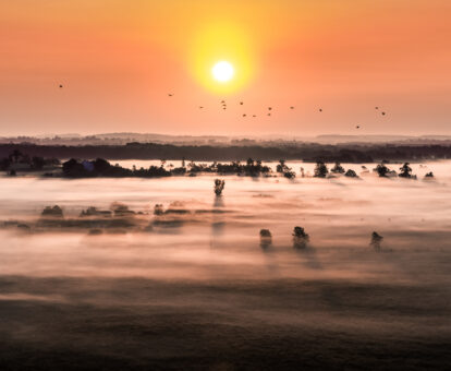 picture of sunset with fog over a lake and Canadian Geese flying in the background