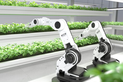 robotic food processing arms in front of row of herbs under bright lights