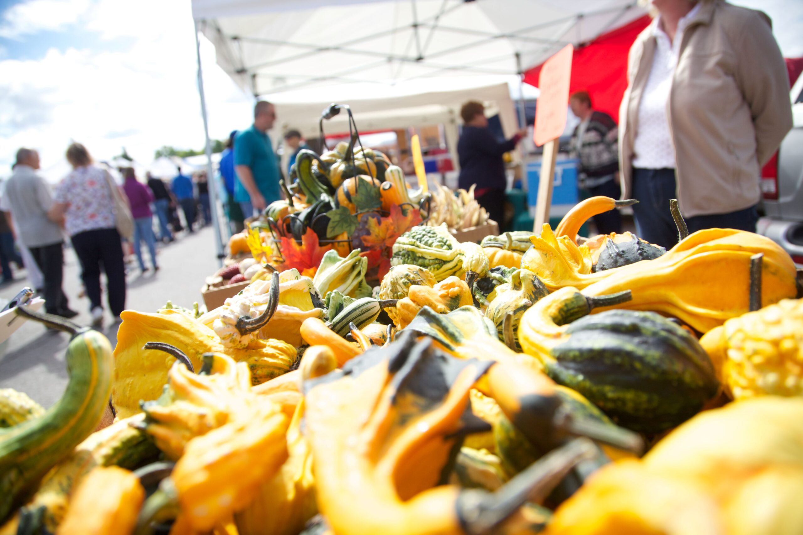 Fresh produce displayed at a farmers market