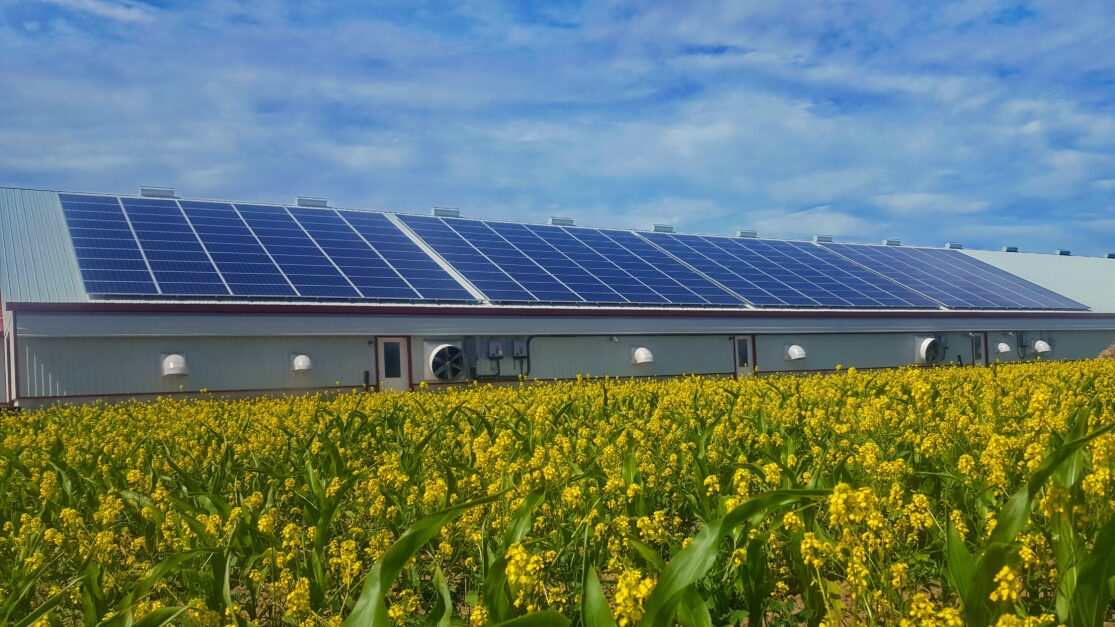 a farm barn structure with solar panels installed on the room with a field in front of it.